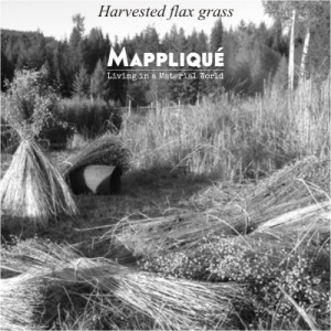 Harvesting Flax grass to produce Irish Linen - From Flax to lux: Irish Linen Heritage -  - Mappliqué